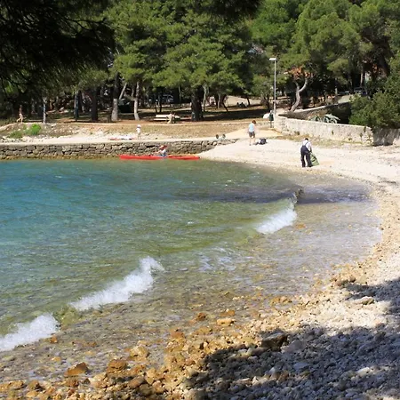 Apartamento With A Parking Space Artatore, Losinj - 8007 *