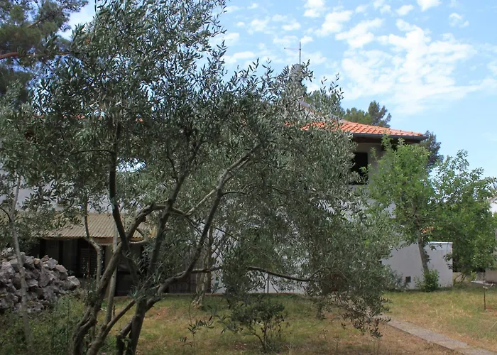 Appartement With Parking Space Artatore, Losinj - 8007 Čunski