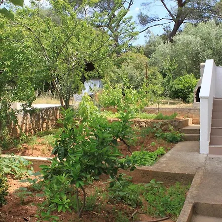 Apartment Apartments With Parking Space Artatore, Losinj - 8007