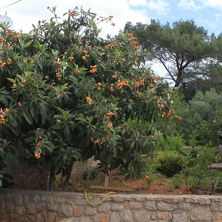 Apartment Apartments With Parking Space Artatore, Losinj - 8007