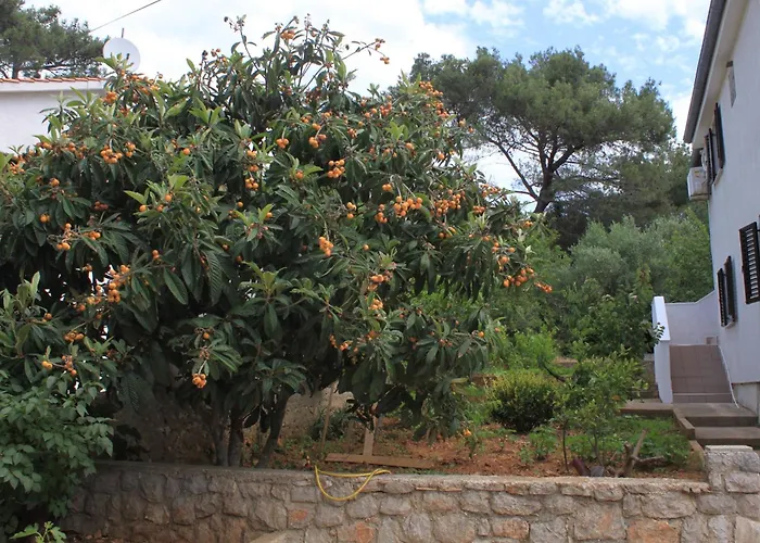 Daire With Parking Space Artatore, Losinj - 8007